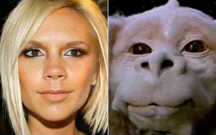 Shit lookalikes: Victoria Beckham &amp; Falkor from Neverending Story | Who