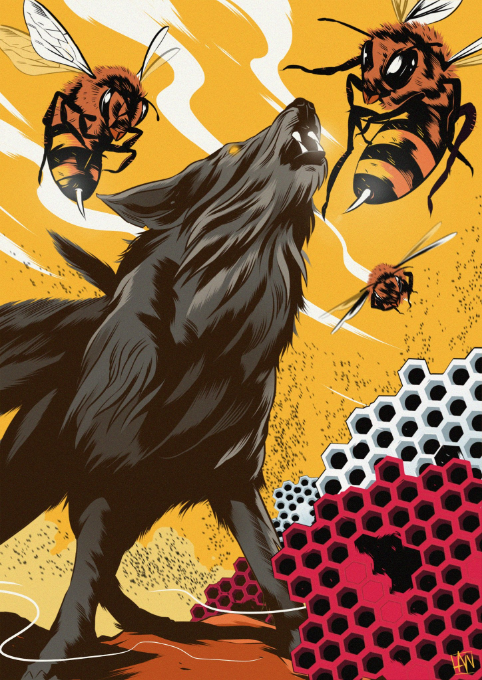 wolves-brentford-programme-cover